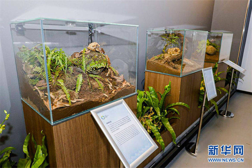 Galeria: Parque Temático recebe Fórum de Boao para a ásia