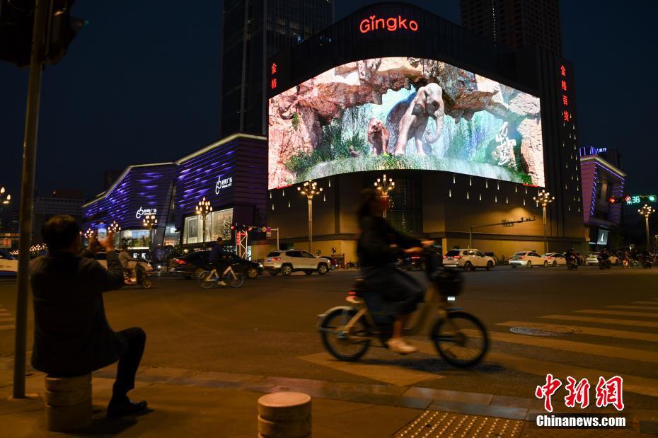 Kunming exibe “elefante asiático” no ecr? de tecnologia 3D