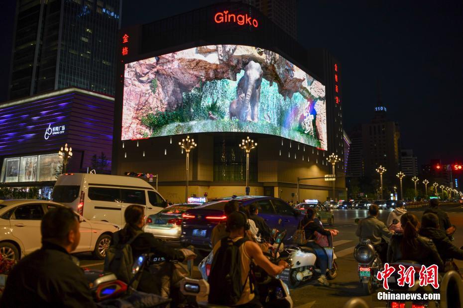 Kunming exibe “elefante asiático” no ecr? de tecnologia 3D