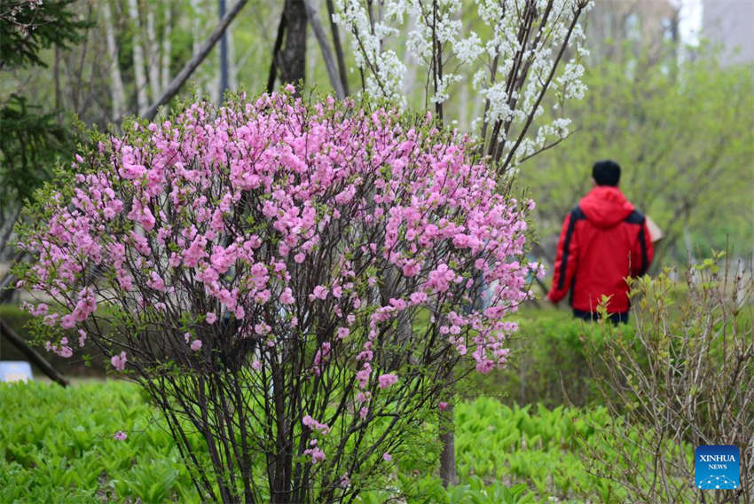 Changchun inicia remo??o de gest?o fechada em toda a cidade