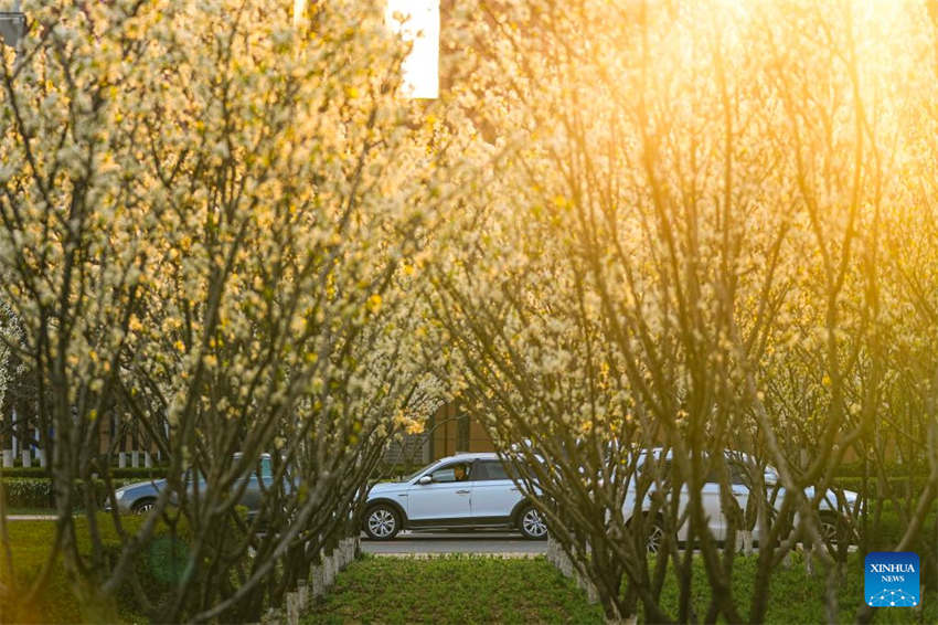 Changchun inicia remo??o de gest?o fechada em toda a cidade