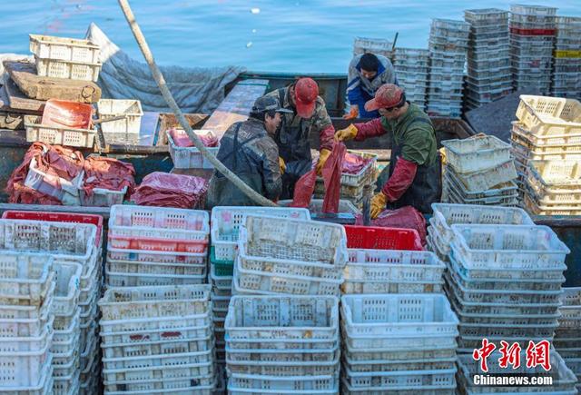 China inicia proibi??o anual de pesca de ver?o