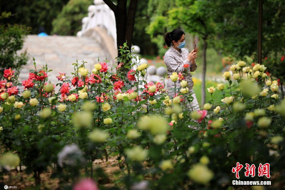 China: flores de ver?o florescem em todo o país