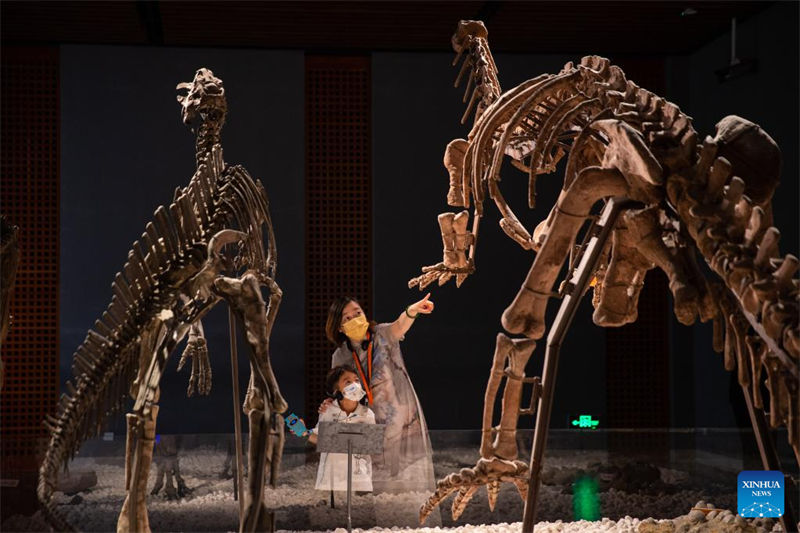 Dia Internacional dos Museus é celebrado na China