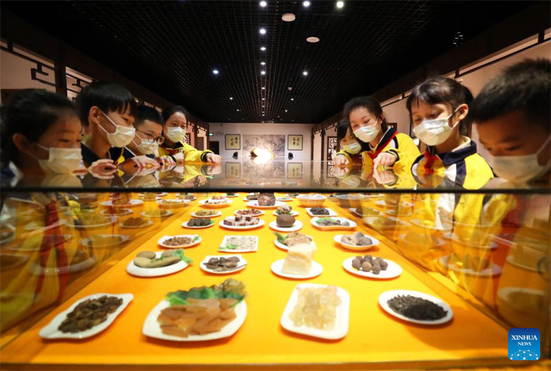 Dia Internacional dos Museus é celebrado na China