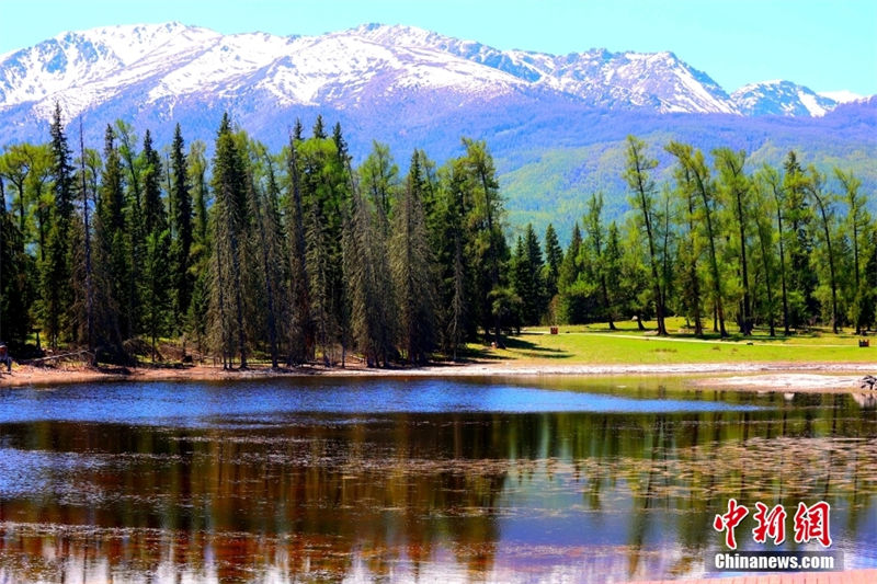 Galeria: pitoresco cenário de Kanas em Xinjiang