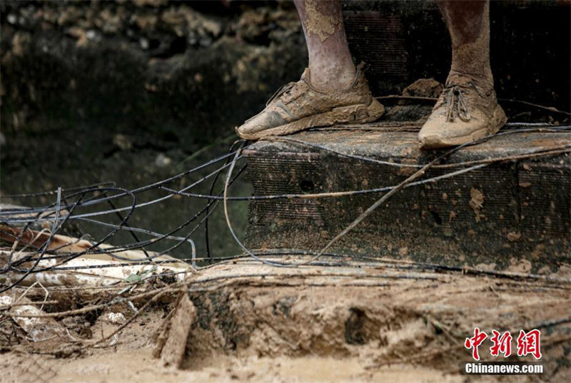 Brasil: sobe para 84 o número de mortes causadas por fortes chuvas no estado de Pernambuco