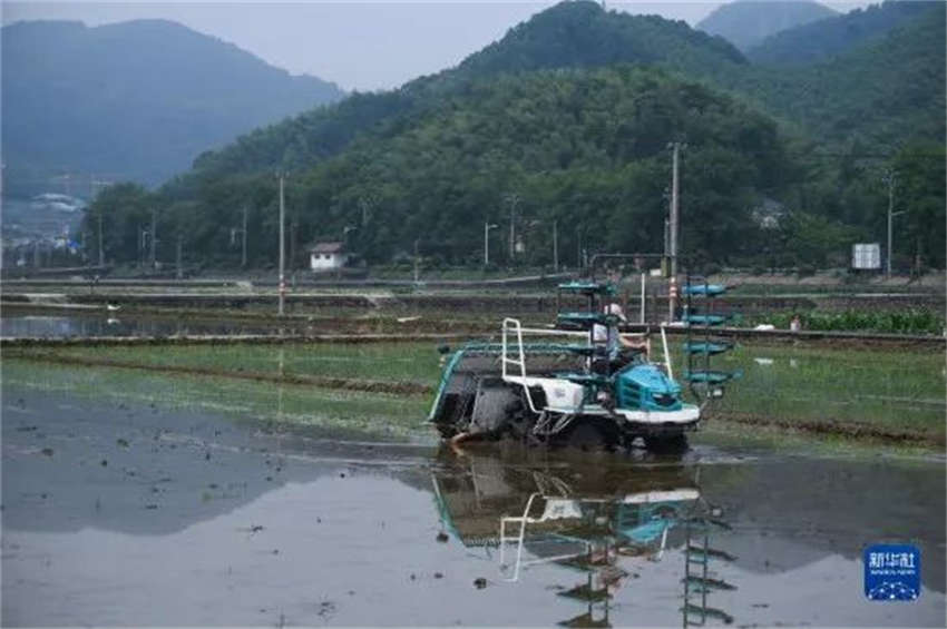 China dá as boas-vindas a época mais movimentada do ano para os agricultores