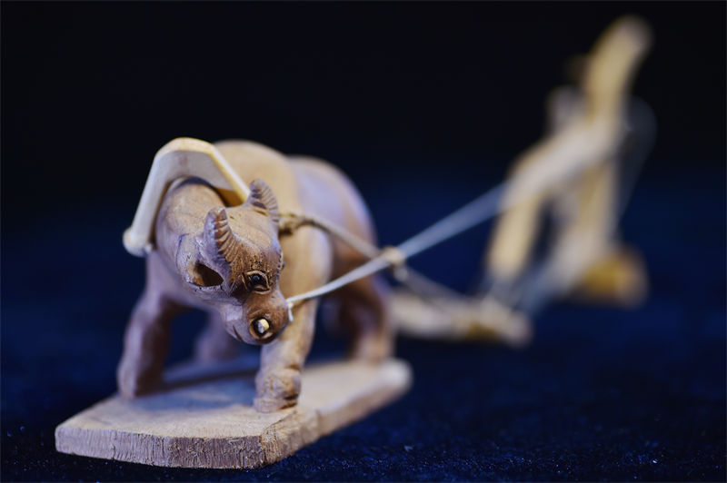 Artes?o de Nangjing cria miniaturas para representar cultura agrícola da China