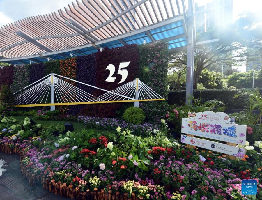 Galeria: Hong Kong comemora 25 anos do retorno à China