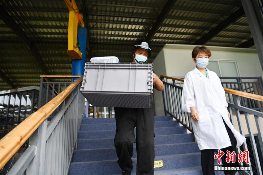 Galeria: escava??es arqueológicas est?o em andamento no fosso No. 8 de Sanxingdui