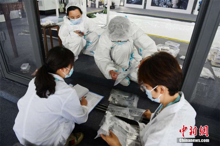 Galeria: escava??es arqueológicas est?o em andamento no fosso No. 8 de Sanxingdui