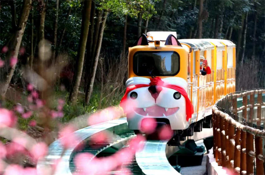 Galeria: bela paisagem de Zhangjiajie no ver?o