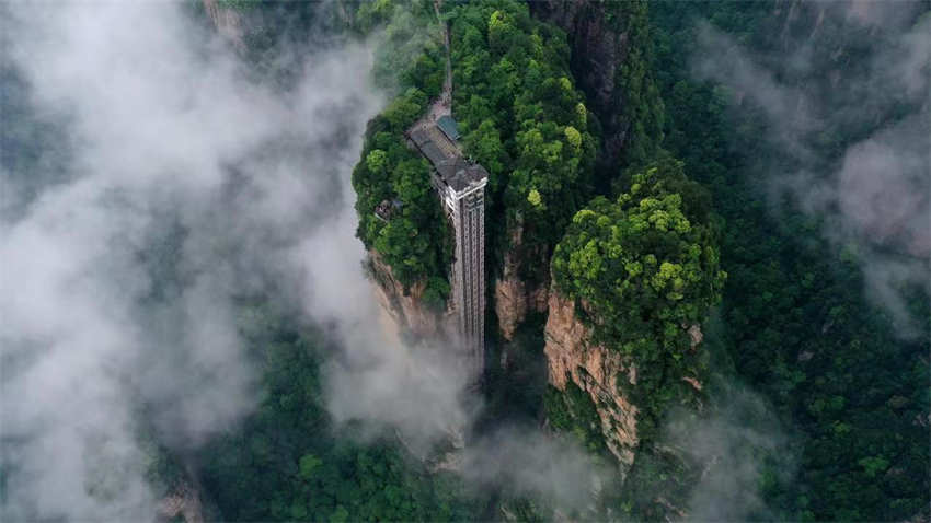 Galeria: bela paisagem de Zhangjiajie no ver?o
