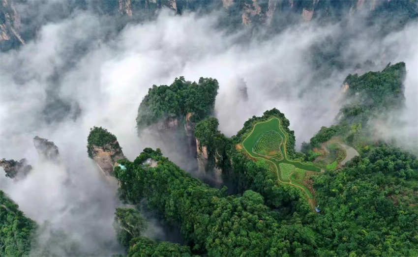 Galeria: bela paisagem de Zhangjiajie no ver?o