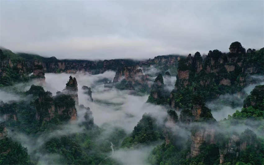 Galeria: bela paisagem de Zhangjiajie no ver?o