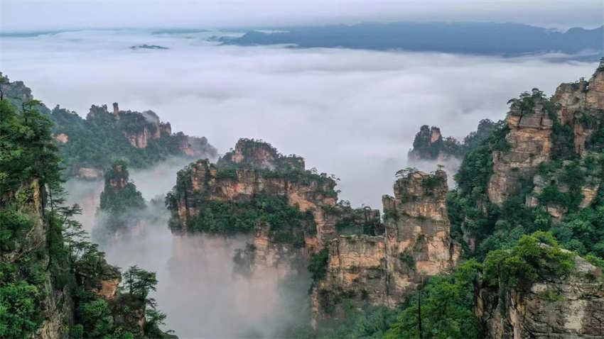 Galeria: bela paisagem de Zhangjiajie no ver?o