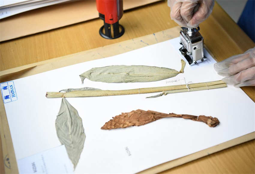 Segundo jardim botanico nacional da China é inaugurado em Guangzhou