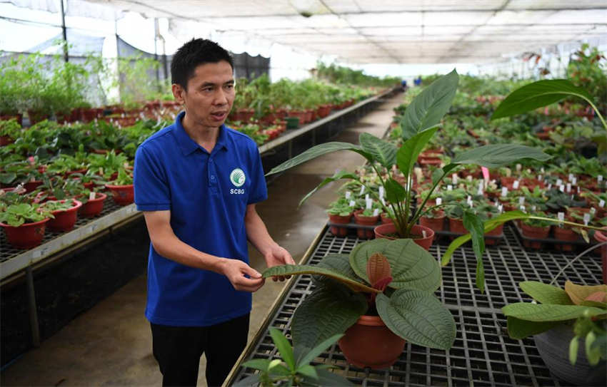 Segundo jardim botanico nacional da China é inaugurado em Guangzhou