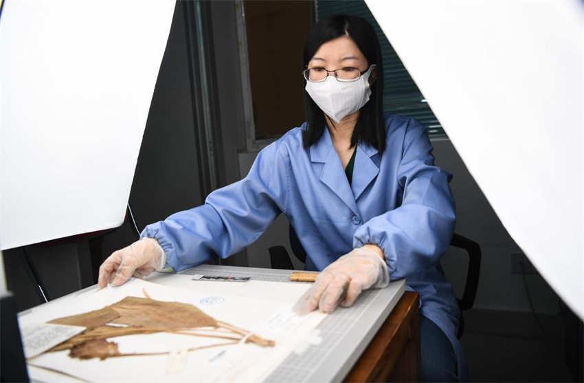 Segundo jardim botanico nacional da China é inaugurado em Guangzhou