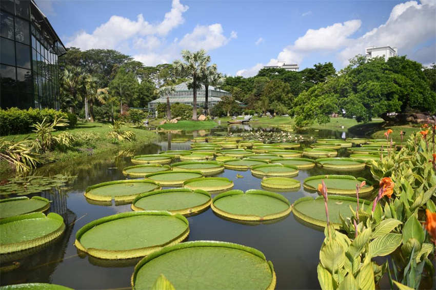 Segundo jardim botanico nacional da China é inaugurado em Guangzhou