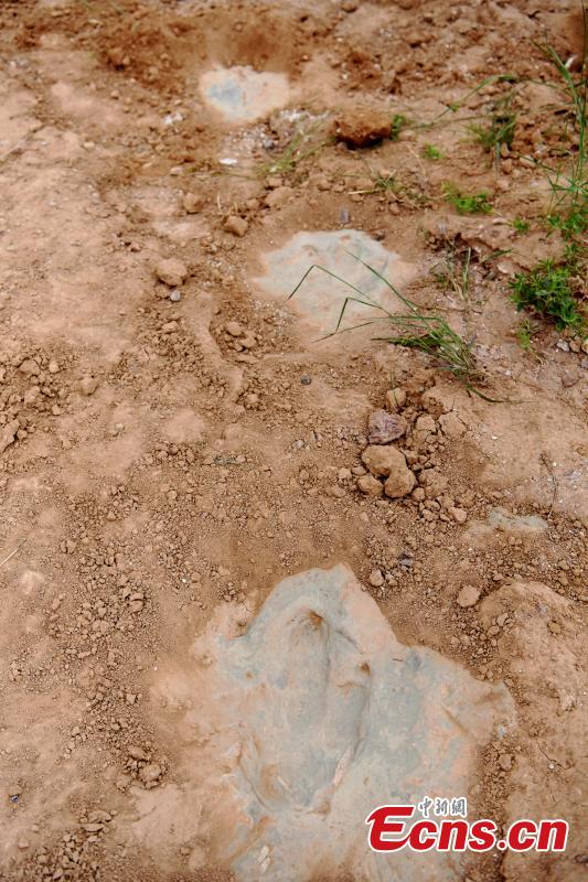 Maior número de pegadas de dinossauros é descoberto no norte da China