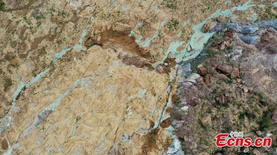 Maior número de pegadas de dinossauros é descoberto no norte da China