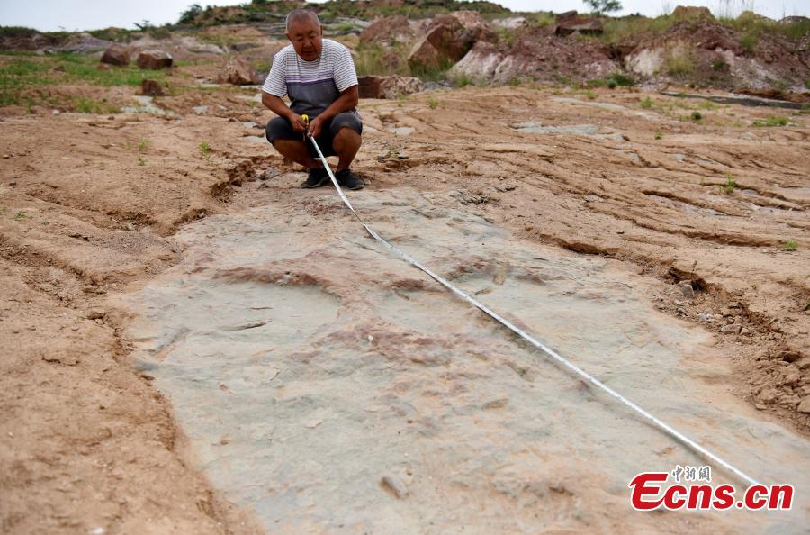 Maior número de pegadas de dinossauros é descoberto no norte da China