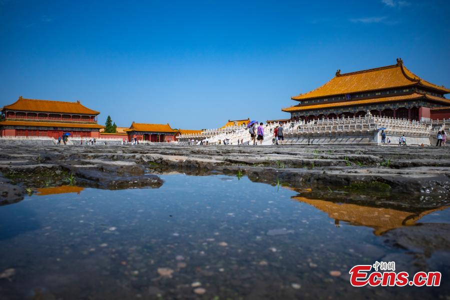 Reflexo do Museu do Palácio após chuva