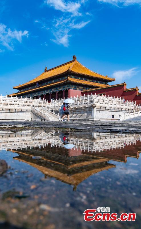 Reflexo do Museu do Palácio após chuva