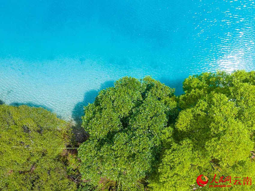 Galeria: Vista deslumbrante do vale de Lua Azul no ver?o