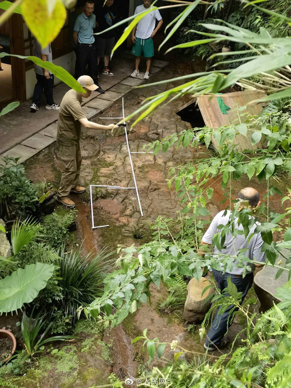 Identificadas pegadas do dinossauro em restaurante de Sichuan