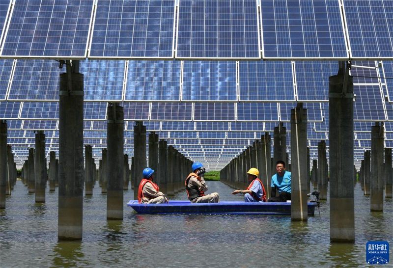 Tianjin: agricultura ecológica beneficia alde?es