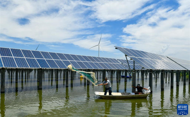 Tianjin: agricultura ecológica beneficia alde?es