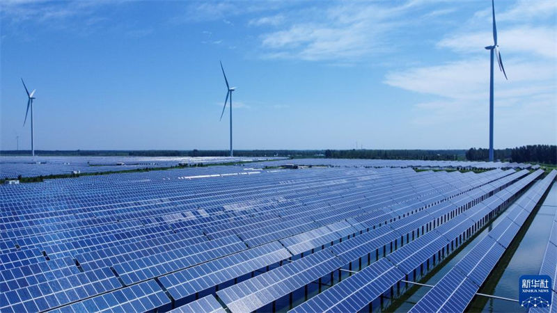 Tianjin: agricultura ecológica beneficia alde?es