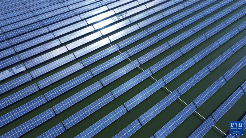 Tianjin: agricultura ecológica beneficia alde?es