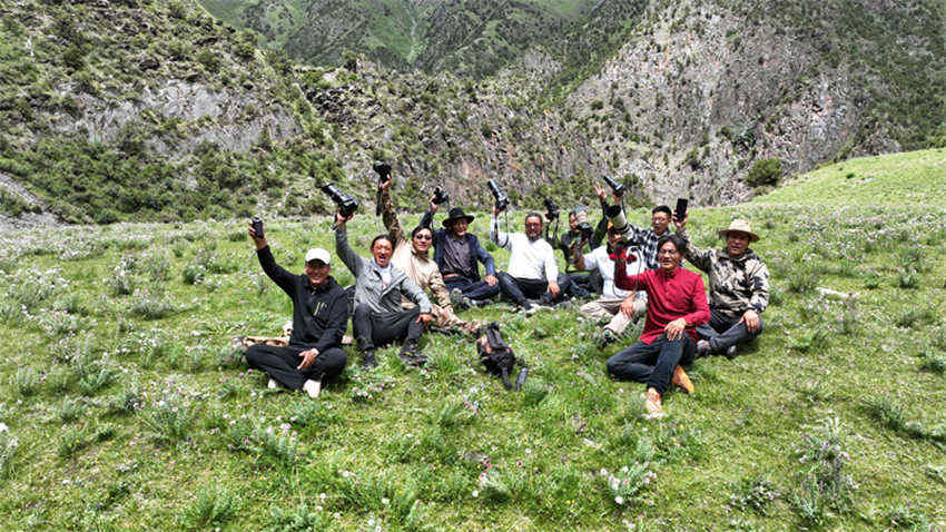 Equipe de fotografia de natureza documenta leopardo de neve nas montanhas de Qinghai