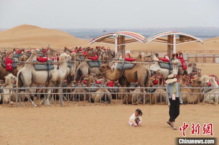 Ningxia inicia temporada dourada de turismo do ver?o