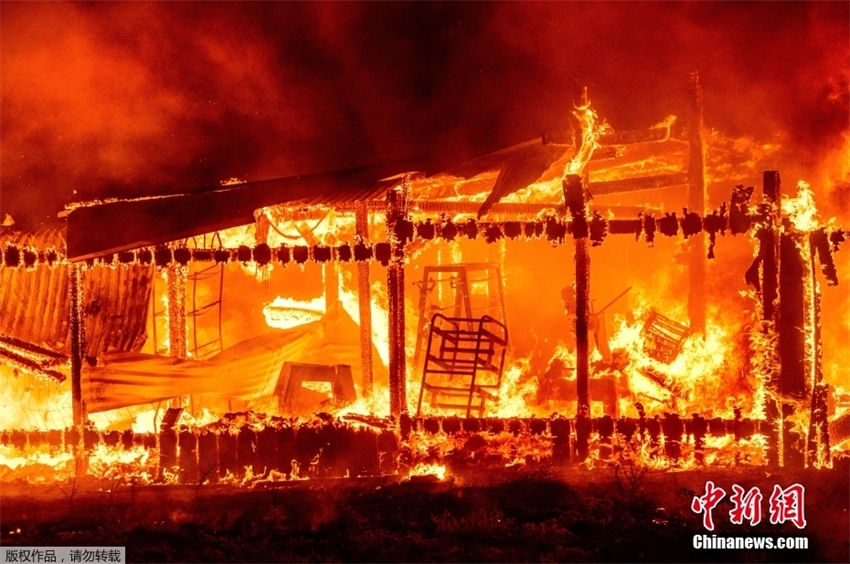 EUA: incêndio florestal na Califórnia queima 63 quil?metros quadrados em 3 dias