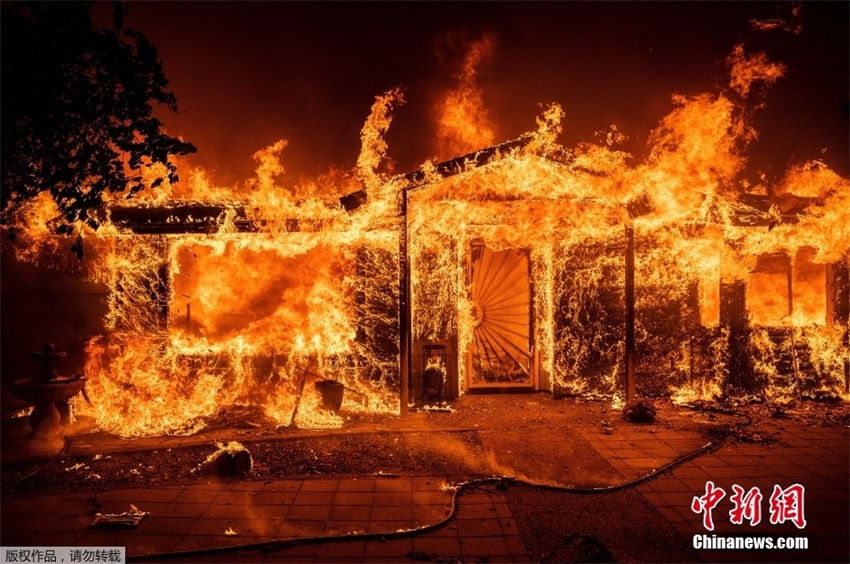 EUA: incêndio florestal na Califórnia queima 63 quil?metros quadrados em 3 dias