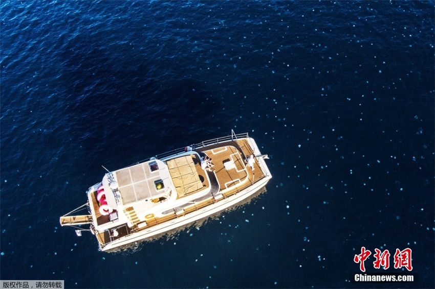 Galeria: medusas d?o vida ao mar mediterraneo