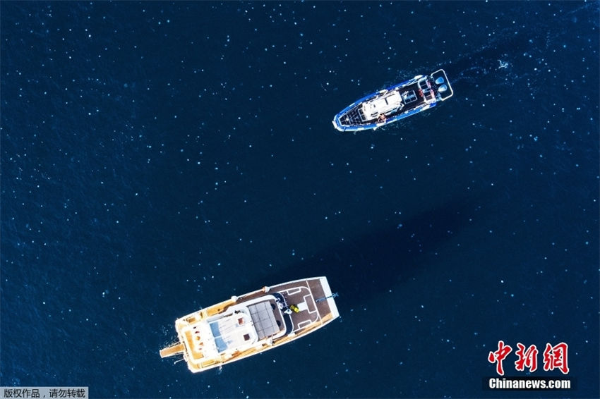 Galeria: medusas d?o vida ao mar mediterraneo