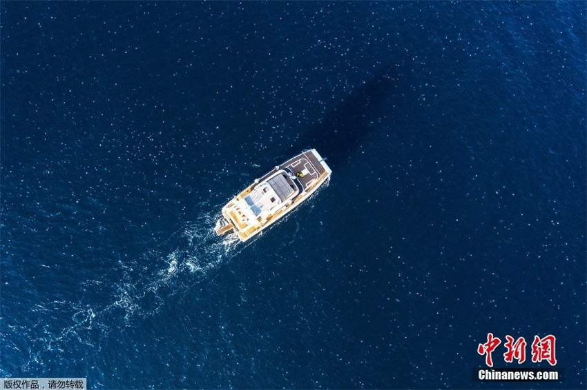 Galeria: medusas d?o vida ao mar mediterraneo