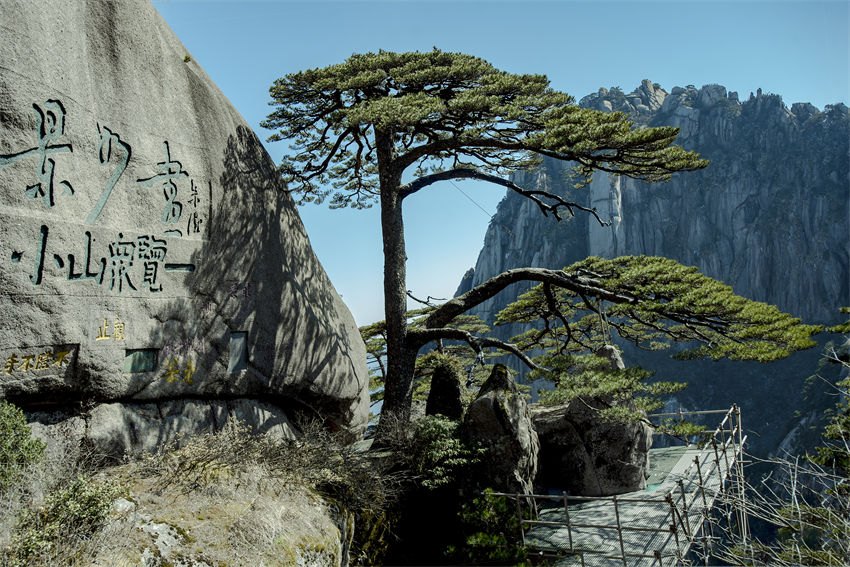 Patrim?nio mundial Montanha Huangshan atrai mais turistas em julho