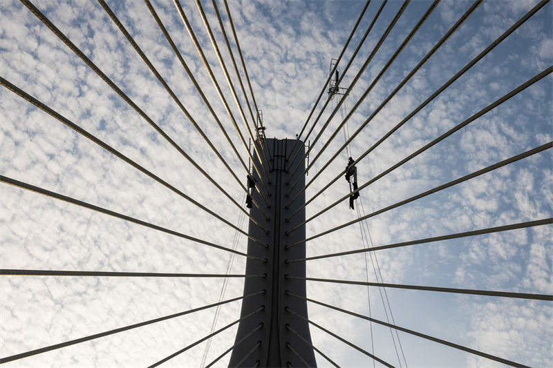 Sichuan: trabalhadores instalam ilumina??es nos horários mais frescos para evitar calor
