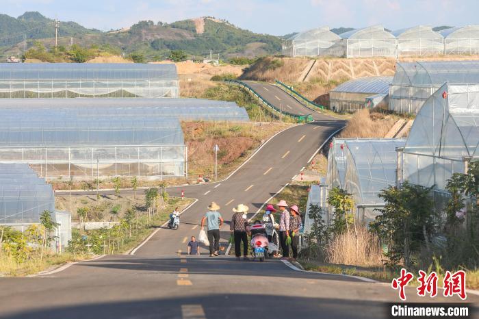 Galeria: milhares de base vegetal de estufa no leste da China