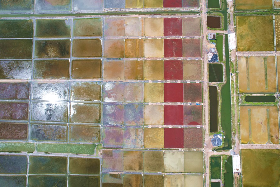 China: campos de sal de Xigang s?o semelhantes à paletas de pintura