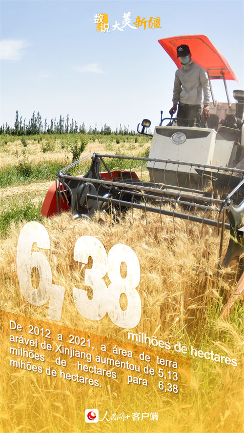 Infográfico: Xinjiang registra década com enormes mudan?as 