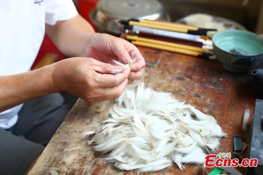 Zhou Pengcheng, 6 décadas de dedica??o ao fabrico de pincéis de caligrafia