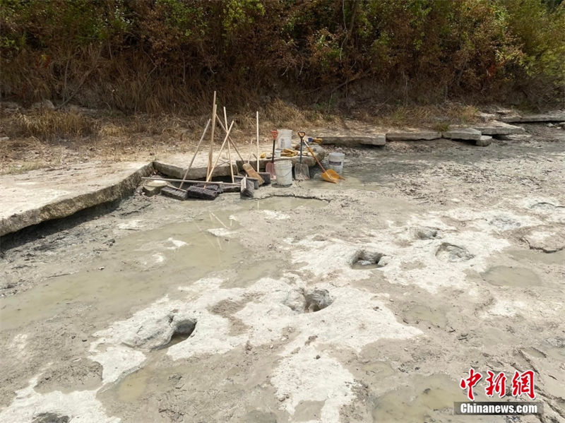 EUA: seca em rio revela de pegadas de dinossauros com 113 milh?es de anos